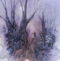 Into the Wilde Wood